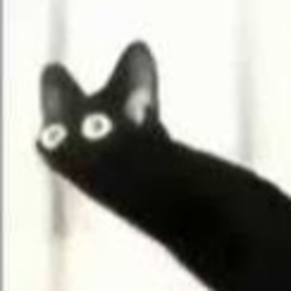 Meet your Posher, Bug